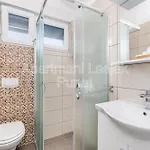 Apartman Lesjak *